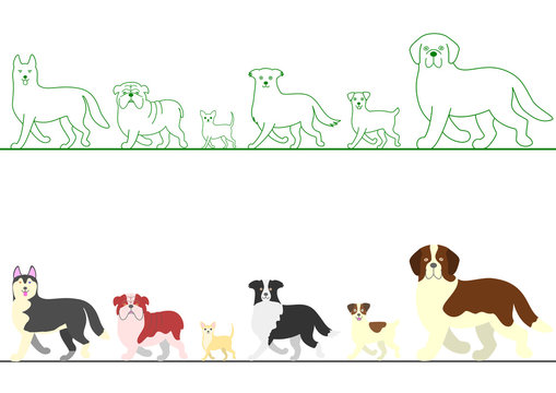 set of various dogs walking in line