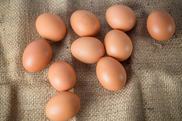Egg, Chicken Egg