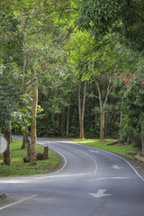 Empty curved road