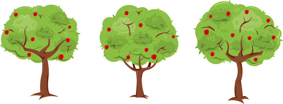 Apple Trees
