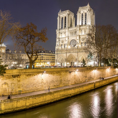 Fototapeta na wymiar Paris Notre Dame at dusk