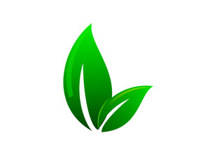 Green leaves Fres v4