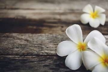Wood background  with Plumeria