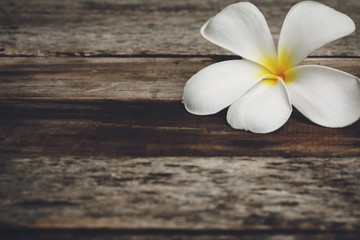 Wood background  with Plumeria