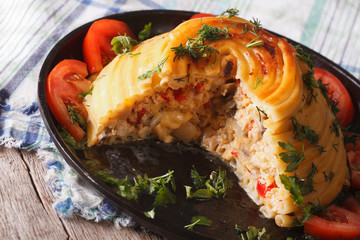 timbale stuffed with chicken, mushrooms and cheese closeup. horizontal
