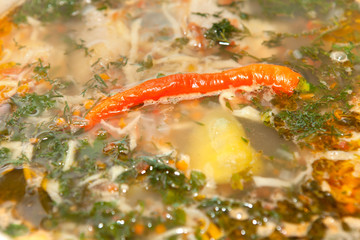 Obraz na płótnie Canvas Vegetable soup
