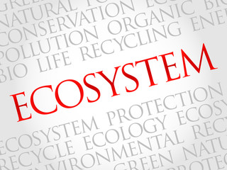 Ecosystem word cloud, environmental concept