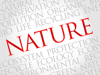 Nature word cloud, environmental concept