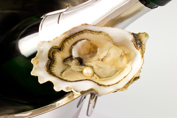 Auster, Perle, Sektkübel, Sektflasche