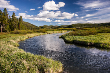 Fototapeta premium Trout Hideaway