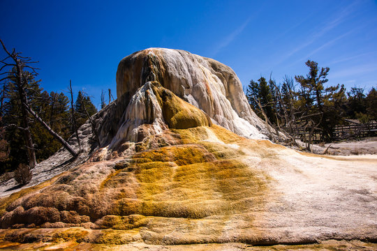 Orange Spring Mound Geyser