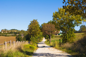 Stradina di campagna in autunno