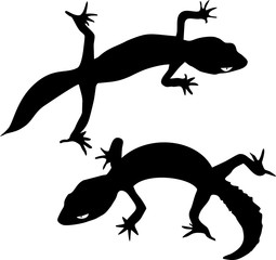 Two silhouettes of gecko