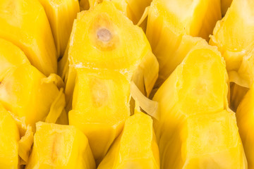  gousses de jaque, fruit tropical, Réunion 