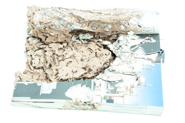 Close up damaged paper eaten by termite