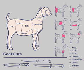 Goat meat cuts - 92767509