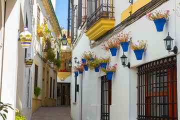 Fototapeta na wymiar Streets decorated with flowers and barred windows typical of the Cordoba, Spain