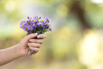 Fototapeta na wymiar bouquet of purple flowers in woman's hand