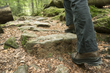hiking in bavaria and european alpes