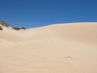 Coral Bay, Western Australia