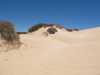 Coral Bay, Western Australia