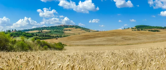 Türaufkleber Tuscany landscape with the town of Pienza, Val d'Orcia, Italy © JFL Photography