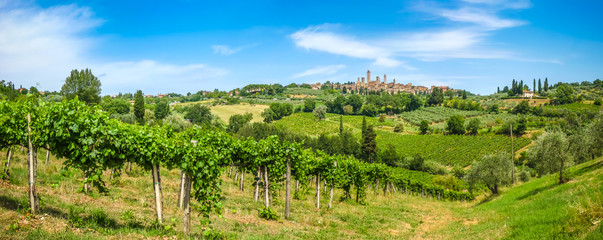 Fototapeta na wymiar Medieval town of San Gimignano, Tuscany, Italy