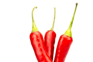 Fotobehang hot red chili pepper on white background © Ivan Volozhanin