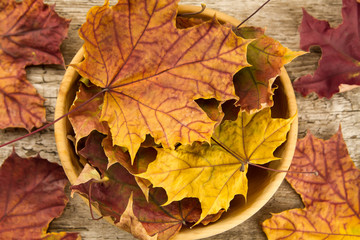 Fototapeta premium Colorful maple leaves on wooden background. Thanksgiving, autumn.
