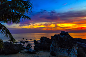 Sunset palm trees caraibe sea
