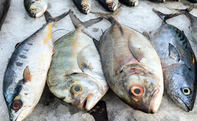 sale fish on ice at street market