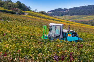 tracteur bourguignon