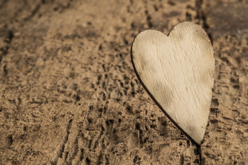 Fototapeta premium template with wooden heart
