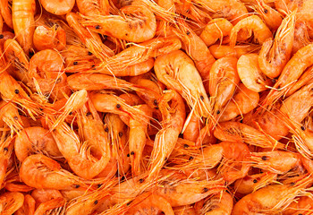 Shrimps close-up as a background