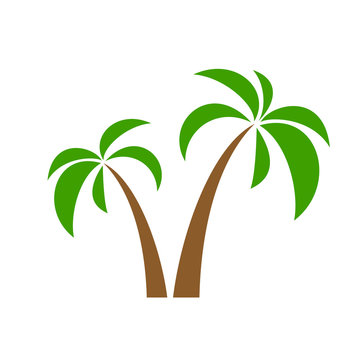 palms on white