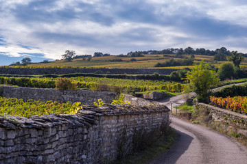 campagne de bourgogne