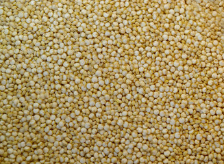 Quinoa texture