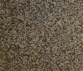 Poppy seed texture