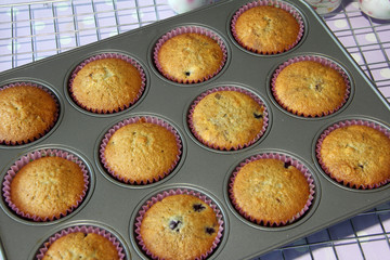 muffin cooked in tray