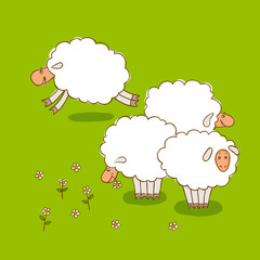White Sheep Grazing On a Green Meadow