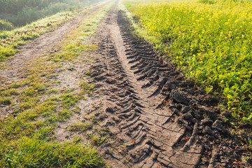 Fototapeta na wymiar Tire tracks in the clay from close