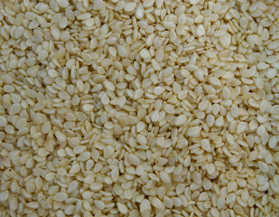 Sesame seeds texture