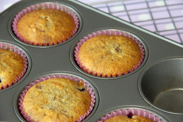 muffin cooked in tray