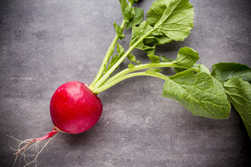 Radish. © gitusik