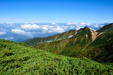 Fototapeta na wymiar 長野県　北アルプス乗鞍岳　魔王岳からの雲海