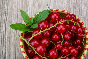 Red currant