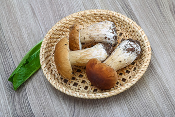 Wild Mushrooms