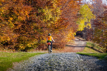 Mountain biker in autumn forest