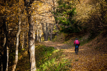 Fototapeta premium Mountain biker in autumn forest
