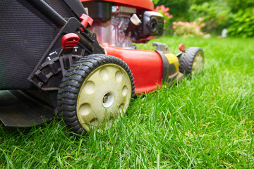 Obraz premium Lawn mower.
